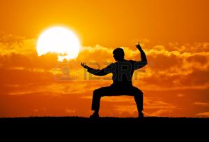 65602268-moto-de-guerrier-silhouette-element-de-.jpg